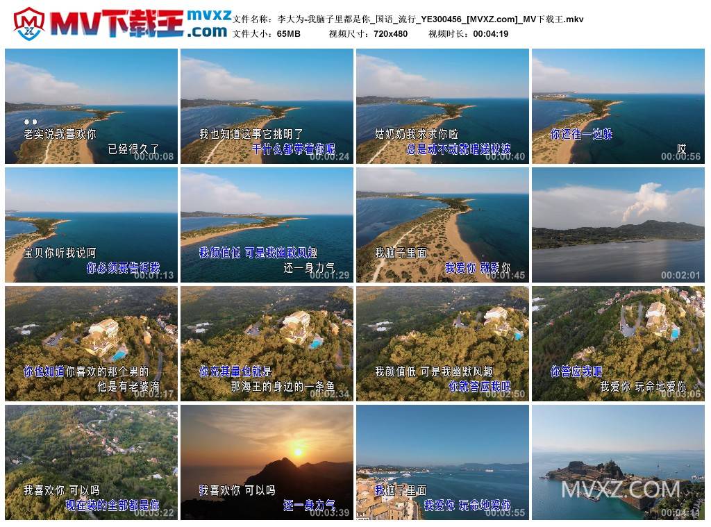 李大为-我脑子里都是你_国语_流行_YE300456